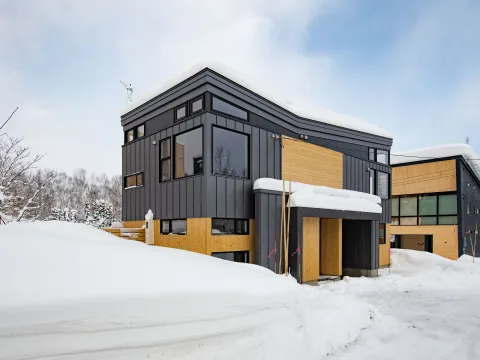 mountainbutterfly-2280px-5