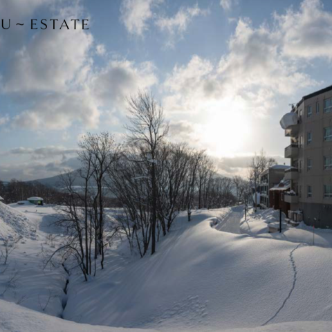 Screen Shot 2021-02-26 at 10.47.06 AM